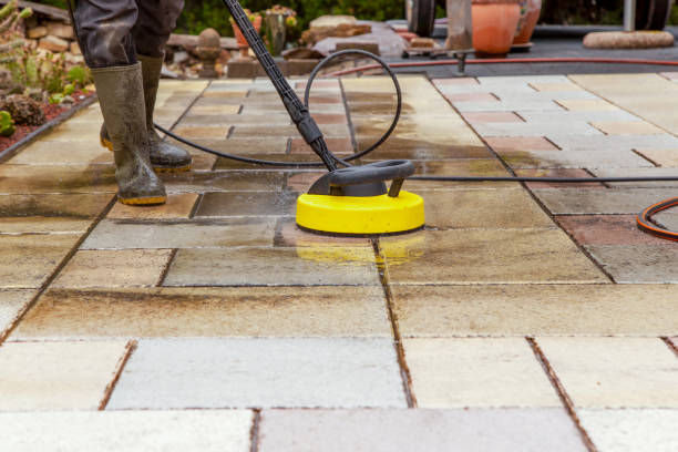 Best Oil Spill Cleanup  in Palmview South, TX